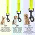 Dogline Biothane Waterproof Dog Leash, Strong Coated Nylon Webbing, 4 or 6 ft Lead for Small or Large Dogs