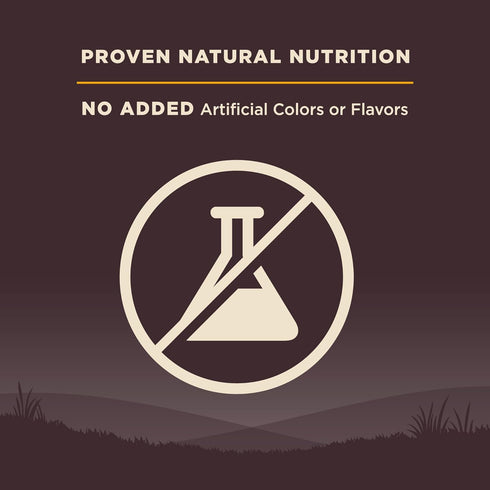 Wellness Natural Pet Food CORE Grain-Free High-Protein Small Breed Dry Dog Food, Turkey, 4-Pound Bag