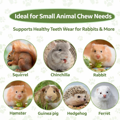 240g Chinchilla Sukh Sweet Bamboo Chew Sticks - Rabbit Chew Sticks & Bamboo Sticks for Rabbits, Natural Bunny Bamboo