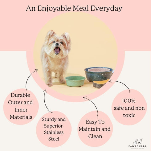 Camping Double Wall Stainless Steel Anti-Skid Water and Food Feeding Bowl for Dogs, Cats (Dark Green, 40 Oz)