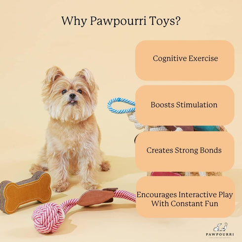Natural Suede Leather Chew Toy for Adult Dogs and Puppies, Tough Durable Fun Chewing Interactive Pet Toy (Bone Shape)