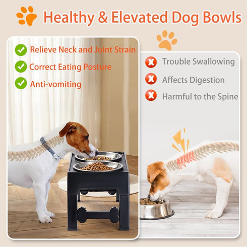 Marchul Elevated Dog Bowls, 4 Height Adjustable Raised Bowls with 2 Stainless Steel Bowls for Small Medium Large Dogs