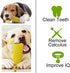 Dog Chew Toys for Aggressive Chewers - Squeaky Interactive Corn Stick Toy for Small Medium Dogs