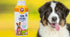 Hammer 4.2 Oz Arm & for Pets Odor Control Dry Shampoo Powder for Dogs & Puppies, Waterless Dog Deodorizer with Baking
