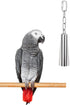Hypeety Stainless Steel Bell Bird Toys Chew Toy for Parrot, Macaw, Heavy Duty Bird Cage Stand Toys