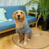 KOOLTAIL Basic Dog Hoodie, Soft and Warm Dog Sweater with Leash Hole and Pocket, Cold Weather Clothes for Small Medium