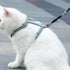 Heavy Duty Double Ended Collar Backup Clip for Dog Harnesses, Lockable Safety Clip for Prong Collar