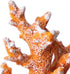 Artificial Coral Ornament, Underwater Sea Plants Decorations, Craft Resin Aquarium Plants for Fish Tank