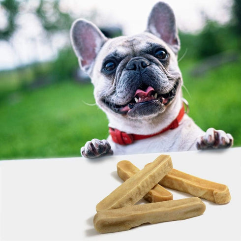 EcoKind Pet Treats Gold Yak Dog Chews - Grade A Quality, Healthy & Safe for Dogs, Large (Pack of 5)