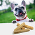 EcoKind Pet Treats Gold Yak Dog Chews - Grade A Quality, Healthy & Safe for Dogs, Large (Pack of 5)