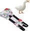 Pet Chicken Diapers,Chicken Goose Duck Loose Tight Belt Diapers Poop Pocket Diapers