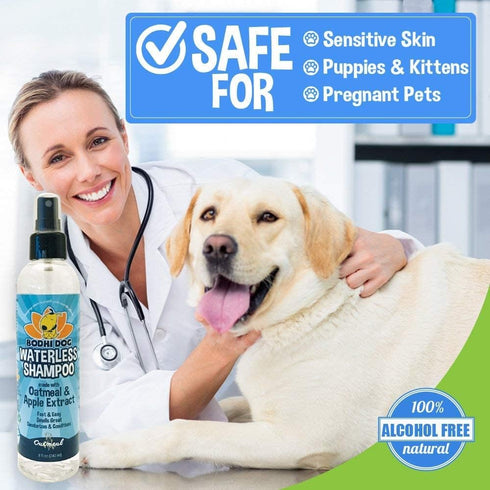 Bodhi Dog Waterless Shampoo, Natural Dry Shampoo for Dogs or Cats, Neutralizes Pet Odor, No Rinse Required (Oatmeal and