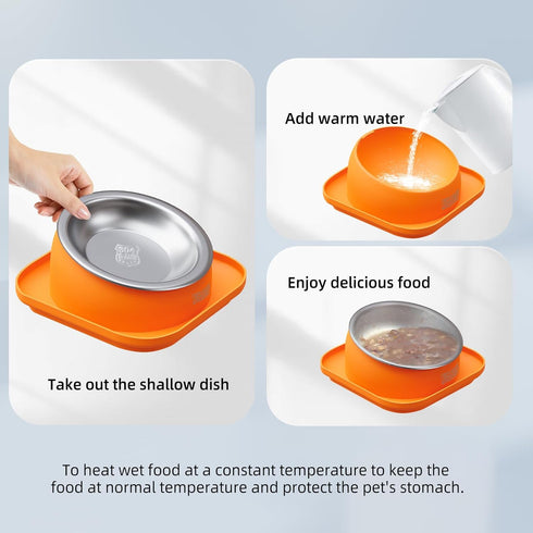 Elevated Cat Food Bowl, Tilted Feeding Stand, Whisker Friendly Slanted Feeder, Orange