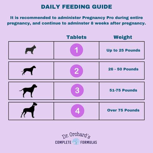 Dr Orchards Pregnancy Pro Premium Dog Supplement for Pregnancy, Prenatal + Postnatal, 90 Ct