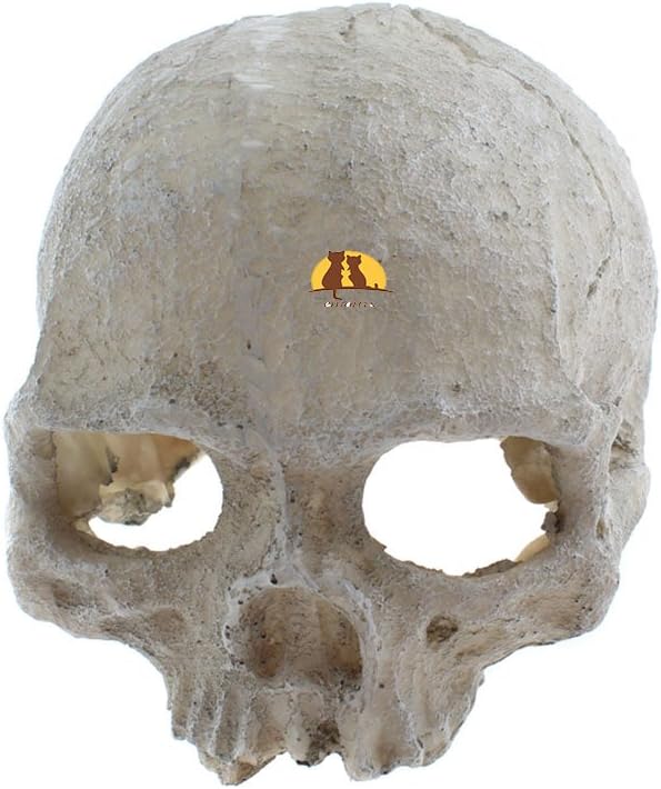 emours Reptile Hideout Skull Vivarium Aquarium Fish Tank Resin Ornament Cave Decoration, Small