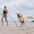 EzyDog Track and Train Premium Dog Leash, 16-Foot Extra Long Lead for Training Your Pup - Red