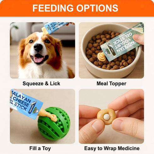 2 1 Pack 20 Pack KI-You in Gel Stick Treats for Dogs & Cats : Mongolian Yogurt & Himalayan Yak Cheese, Clean Formula