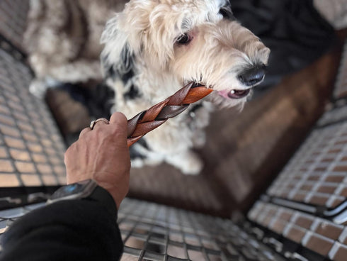 AZRAPAWS 5-6 Inch Braided Collagen Sticks for Medium & Large Dogs, Beef Collagen Dog Chews Long Lasting, Dog Treats