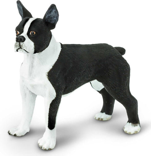 2.5" 3+ Safari Ltd. Boston Terrier Figurine - Lifelike Model Figure - Educational Toy for Boys, Girls, and Kids Ages