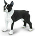 2.5" 3+ Safari Ltd. Boston Terrier Figurine - Lifelike Model Figure - Educational Toy for Boys, Girls, and Kids Ages