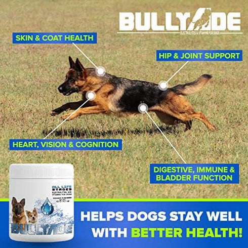 Natural Dog Supplement with 18 Vitamins & Minerals, Mixes with Water or Food (Chicken)