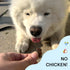 Cricket & Sweet Potato Soft Dog Training Treat (5oz, 1-Pack) - Hypoallergenic Novel Protein Treat for Dogs