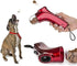 Coolrunner Pet Treat Launcher, Dog Food Catapult for Training, Auto Pets Food Thrower
