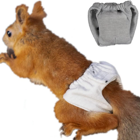 WCDJOMOP Reusable Washable Squirrel Diapers, Highly Absorbent with Strong & Flexible Pants No