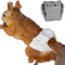 WCDJOMOP Reusable Washable Squirrel Diapers, Highly Absorbent with Strong & Flexible Pants No