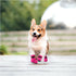 YAODHAOD 4PCS Dog Shoes for Hot Pavement, Anti-Slip Sole & Reflective Straps for Small Medium Dogs (Pink, Size: 4)