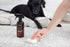 The Spruce Pet Stain & Odor Remover - Plant-Derived Enzyme-Based Cleaner for Dog and Cat Urine, 17 oz, 2 Pack