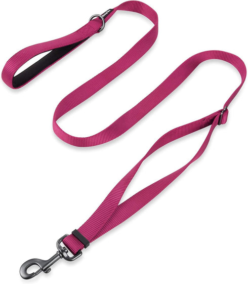 Hyhug Pets Premium Adjustable Leash - 4 to 6 Feet Durable Nylon with Soft Neoprene Handle for Young Dogs, Rose Red Pink