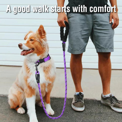 COOYOO Dog Leash, 5/6 FT with Comfortable Padded Handle and Highly Reflective Threads for Small Medium Large Dogs