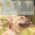 Leashboss Martingale Collar for Dogs - Reflective Nylon with Steel Chain, Adjustable No Pull Training Collar for All