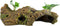 Underwater Treasures Log with Plants for Aquarium Decoration