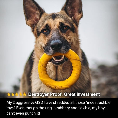 Chew Ring & Fetch Ball Combo for Aggressive Chewers | Heavy-Duty, Ultra-Durable Natural Rubber Toys for Medium to Large