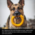 Chew Ring & Fetch Ball Combo for Aggressive Chewers | Heavy-Duty, Ultra-Durable Natural Rubber Toys for Medium to Large