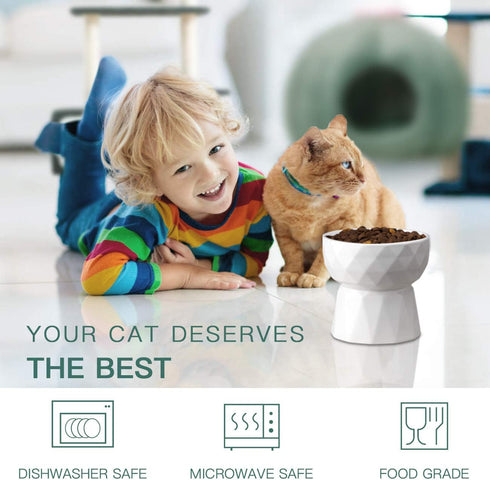 Ceramic Cat Bowls Anti Vomiting - Raised Food and Water Bowl Set for Cats and Small Dogs, 13.5 Oz