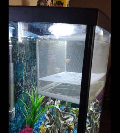 2 Pcs Aquarium Hatchery Net, Nylon Mesh Fish Fry Isolation Box with Breeder Box Separation Net
