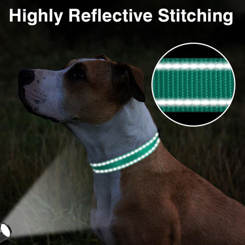 Taglory Reflective Adjustable Dog Collars for Small Medium Large Dogs, Thin Nylon Webbing, Quick Release Buckle (Teal