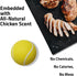 Playology Squeaky Dog Toy, Durable Rubber Interactive Fetch Ball, Chicken Scented for Medium Dogs, Non-Toxic Floating