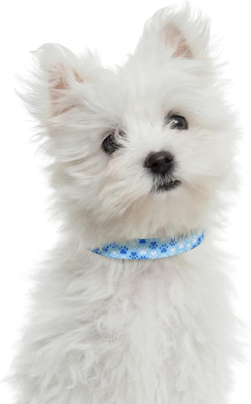 Mile High Life Dog Collar, Nylon Puppy Collars with Cute Patterns, Lightweight for Small/Medium/Large Dogs