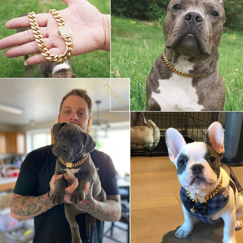 Designer Dog Collar 14mm Gold Metal Stainless Steel with Zirconia Lock, 18K Gold Big Dog Luxury Training Necklace Chain