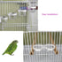 8 Pcs Small Bird Removable Transparent Bowl, Parrot Food Feeder with Small Food Cups for Canary Finch Parrot Small
