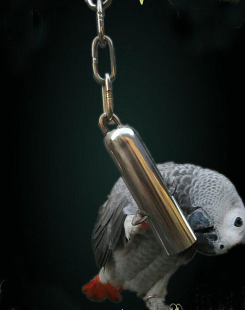 Stainless Steel Bell Toy for Birds, Heavy Duty Bird Cage Toys for Parrots, Mini Macaws, Cockatoos, Small