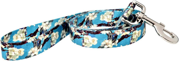Fashion Dog Leash, 5-Feet, Van Gogh Almond Blossom, Turquoise/Cream