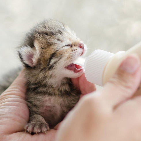 40 0.98X0.63 Inch POPETPOP Pcs Silicone Pet Feeding Nipple - Replacement Bottle Nipples for Kittens & Puppy, Newborn