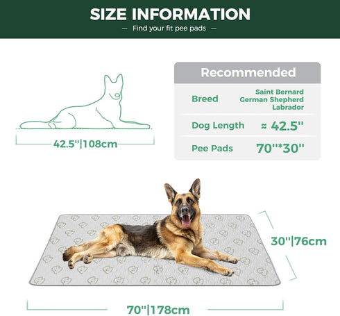 30" 70" 2 Packs FXW Washable Pee Pads for Dogs, Puppy Pads with Super Absorbent, Specifically Designed for Potty