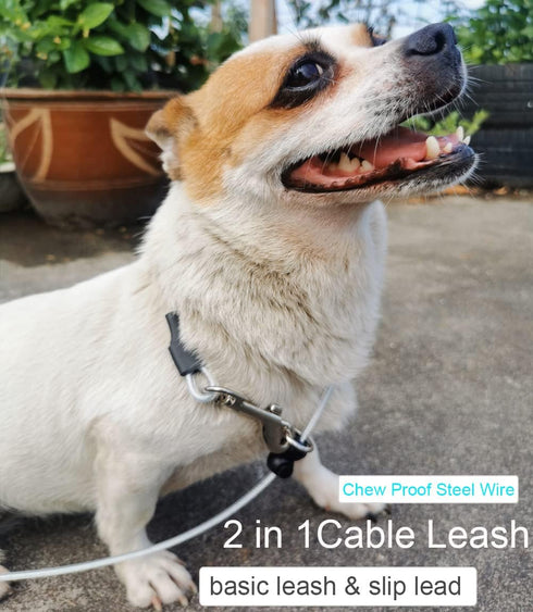 4/6FT Chew Proof Cable Slip Lead Dog Leash with Reflective Soft Nylon Handle for Small Medium Dogs Training (6ft)