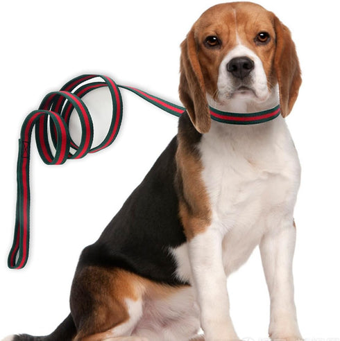 Premium Cute Dog Collar - Luxury Style Durable Pet Collars with Metal Buckle Safety for Small Dogs and Dog Leash